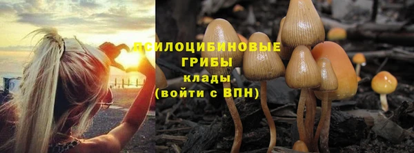 тгк Вязьма