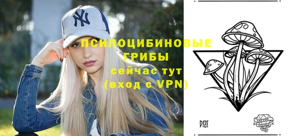 амф Вязники