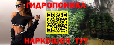 индика Будённовск