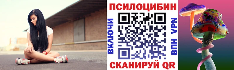 дарк нет телеграм  Дедовск  Галлюциногенные грибы Psilocybe 