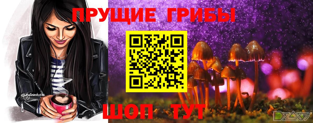 что такое   Дедовск  Галлюциногенные грибы GOLDEN TEACHER 