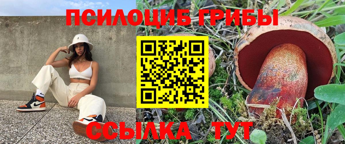 Галлюциногенные грибы мицелий  Галлюциногенные грибы MAGIC MUSHROOMS  Вход с VPN  Дедовск 