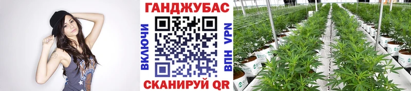 сколько стоит  Дедовск  Каннабис THC 21% 